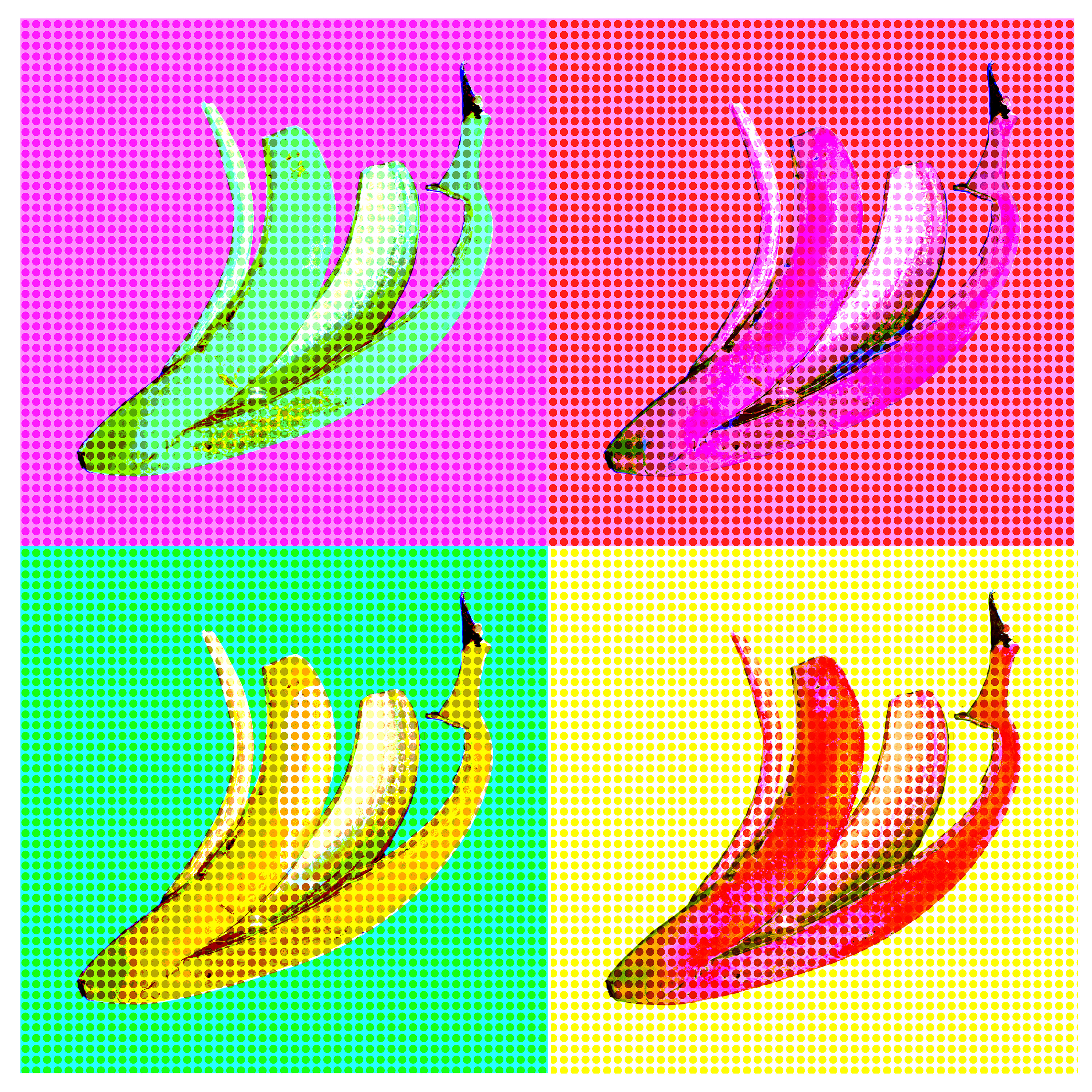 Monika Sinner – Banane