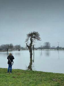 Hochwasser Gernsheim – Ute Krämer