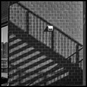Schatten an der Wand – Holger Rothermel