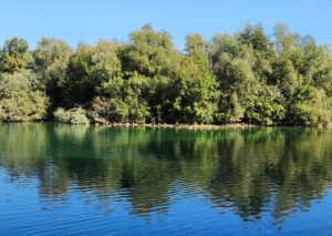 Erlensee – Ute Krämer