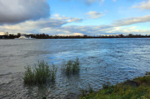 Hochwasser am Rhein – Ute Krämer