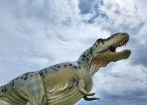 T-Rex – Ute Krämer