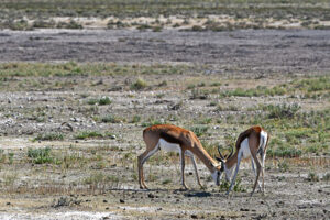 Zweisam – Claus Liewerkus Zweisam – Claus Liewerkus