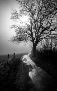 Nebel – Karl Röser Nebel – Karl Röser