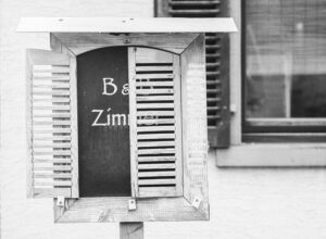 Was jetzt? – Karl Röser