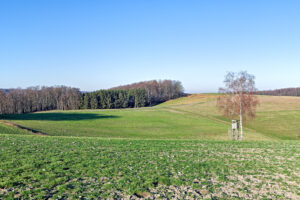 Hochsitz – Klaus Schmidt