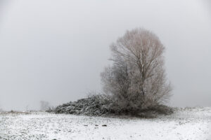 Nebel – Klaus Schmidt