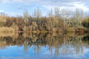 Spiegelung – Klaus Schmidt