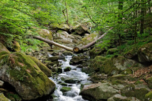 Harz – Klaus Schmidt
