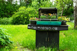 Grillblumen – Claus Liewerkus Grillblumen – Claus Liewerkus