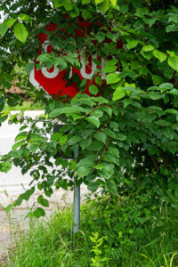 Verdeckte Aufforderung – Claus Liewerkus Verdeckte Aufforderung – Claus Liewerkus