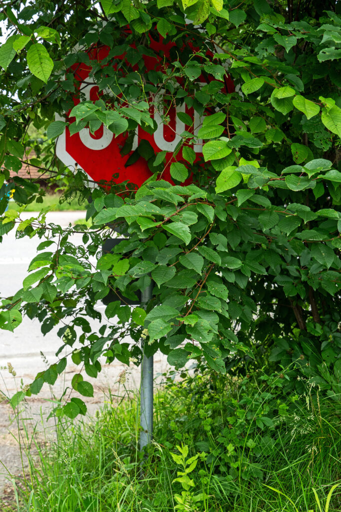 Verdeckte Aufforderung – Claus Liewerkus