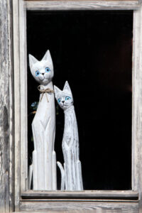 Schmusekatzen – Andrea Marx