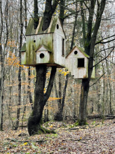 Vogelhäuser XXL – Andrea Marx