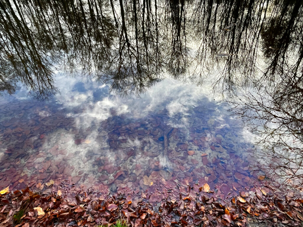 Wolkenspiegel – Andrea Marx