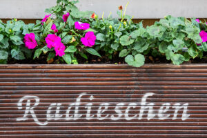 Biologie sechs – Claus Liewerkus