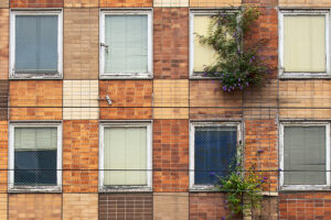 Grün vorm Fenster – Claus Liewerkus