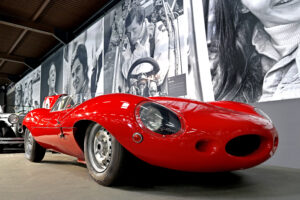 Jaguar – Udo Krämer