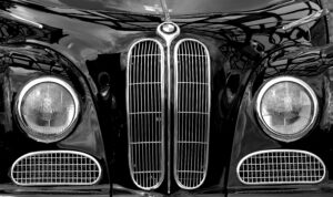 Nieren – Udo Krämer Nieren – Udo Krämer