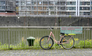 Rosa Rad – Udo Krämer