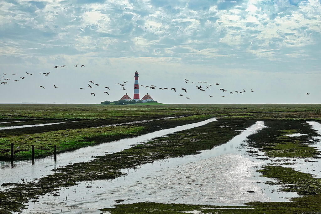 Marsch in Nordfriesland – Winfried Toussaint