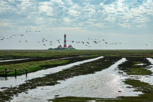 Marsch in Nordfriesland – Winfried Toussaint