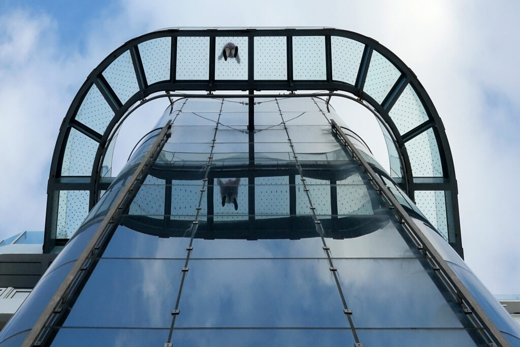 Skywalk – Winfried Toussaint