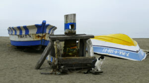 Fischerboote mit Katze – Gisela Krause