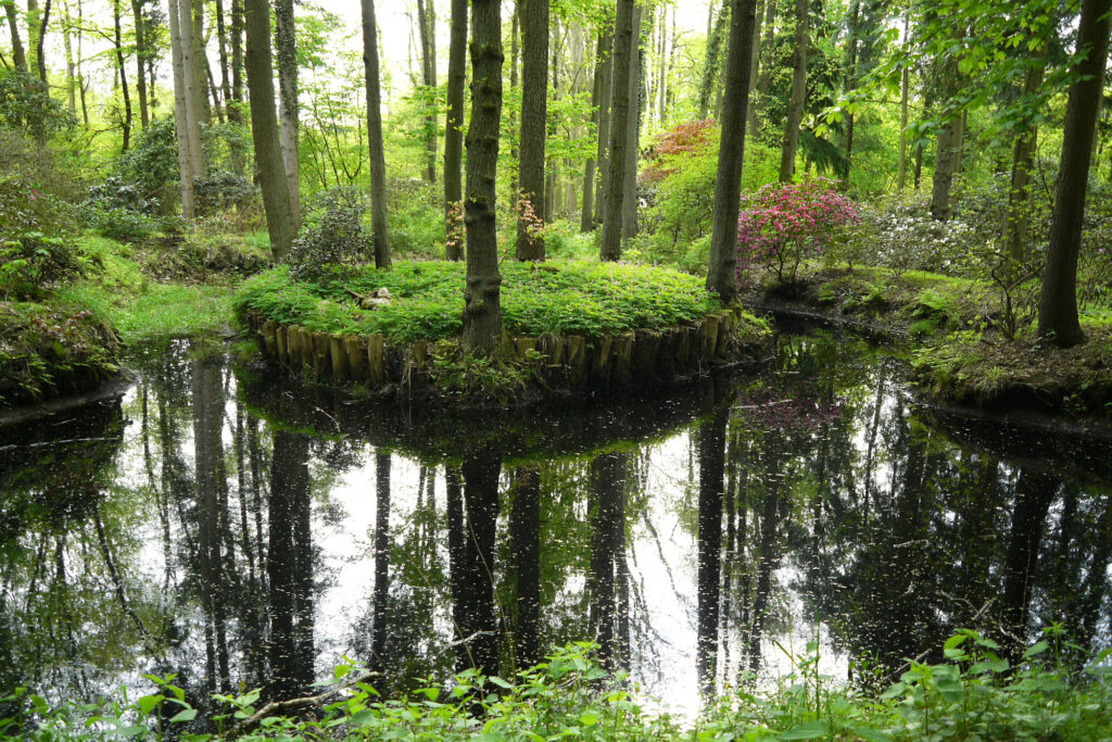 Ammerland – Gisela Krause